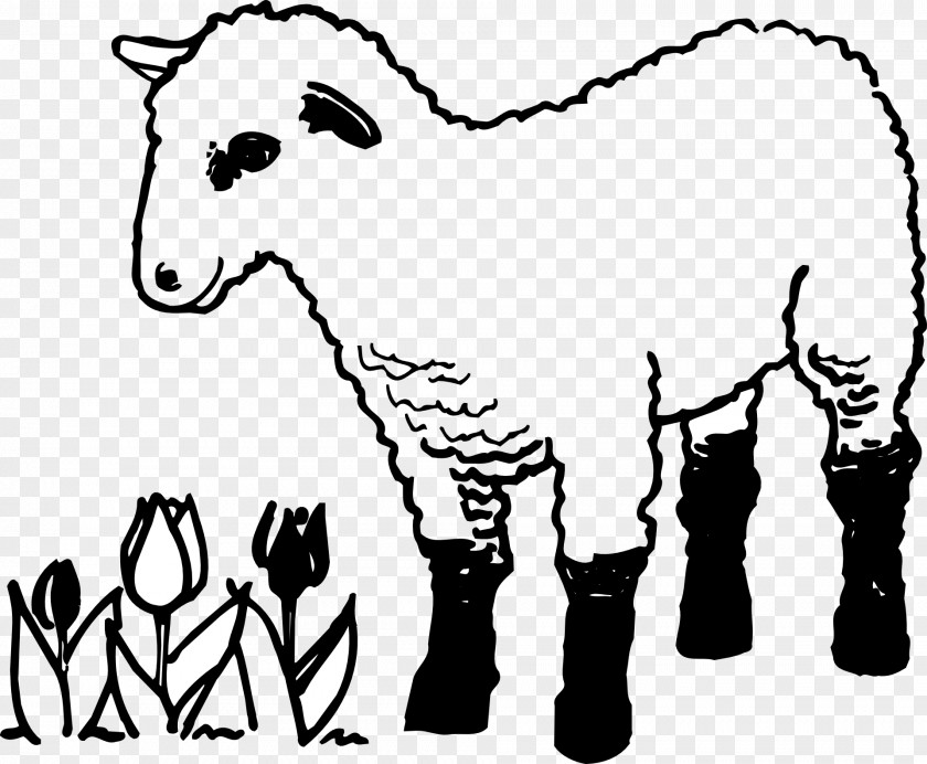 Lamb Parable Of The Lost Sheep Coloring Book And Mutton Shepherd PNG