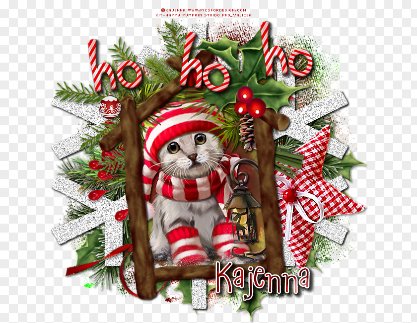 Pillow Christmas Ornament Pine Family Character Fiction PNG
