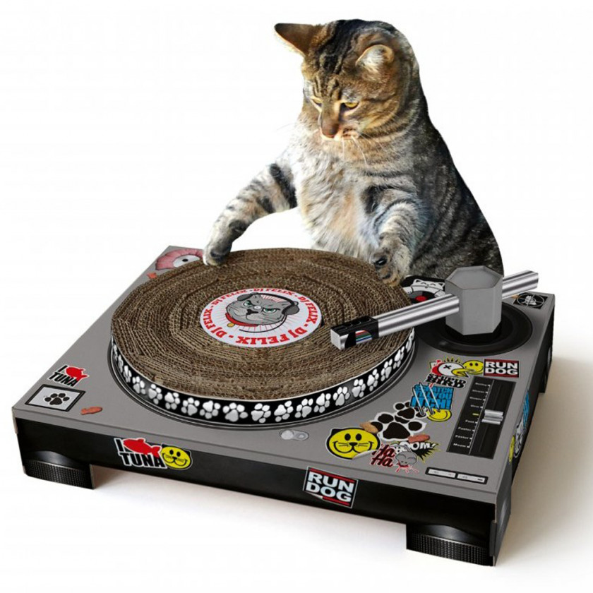 Turntable Cat Felidae Disc Jockey Scratching Pet PNG