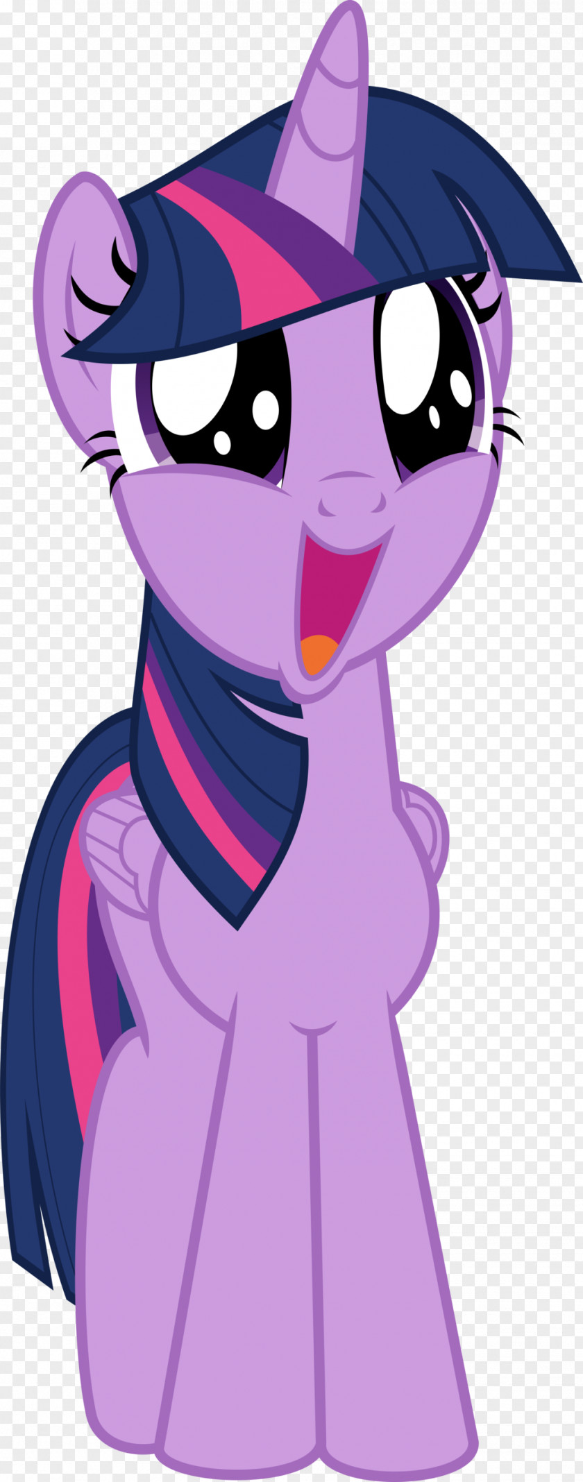 Twilight Sparkle Pinkie Pie Whiskers Rarity Art PNG