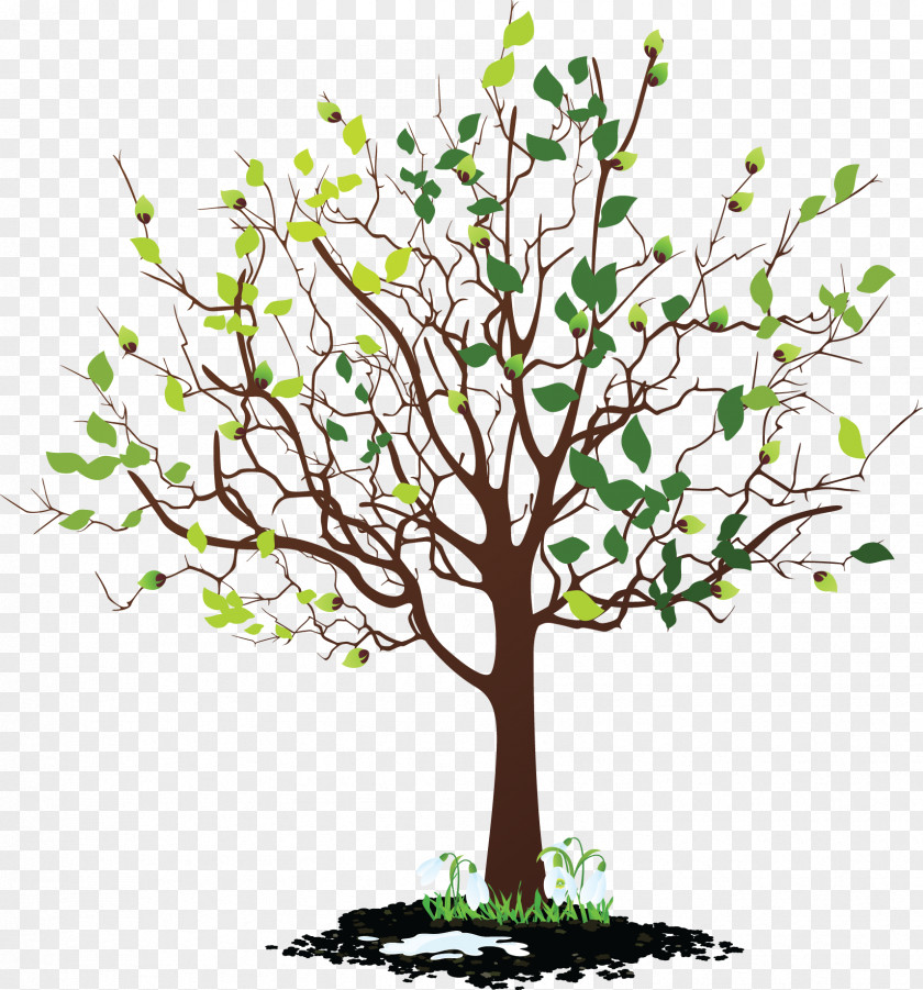 Animated Mangrove Forest Tree Clip Art PNG