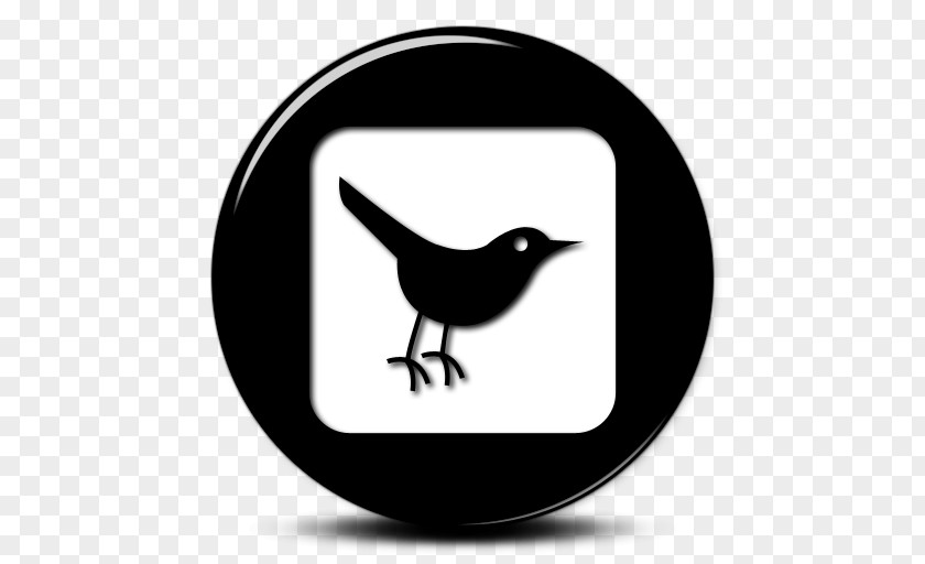 Bird Social Media Networking Service PNG