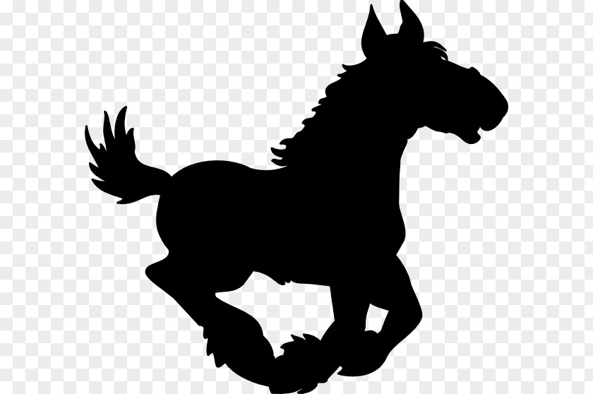 Clip Art Pony Mustang Stallion Foal PNG