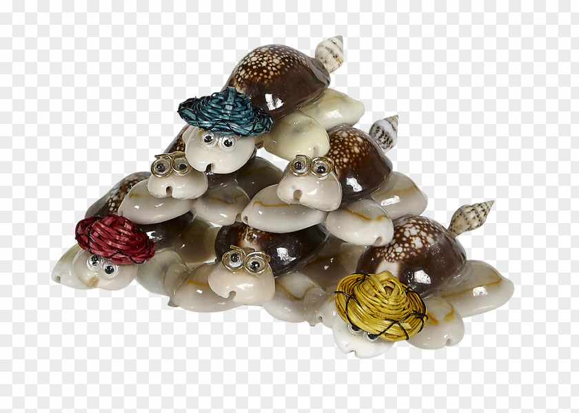 Gemstone Turtle Jewellery Jewelry Design Seashell PNG