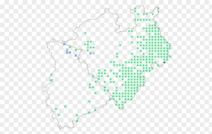 Line Point Green Map Product PNG