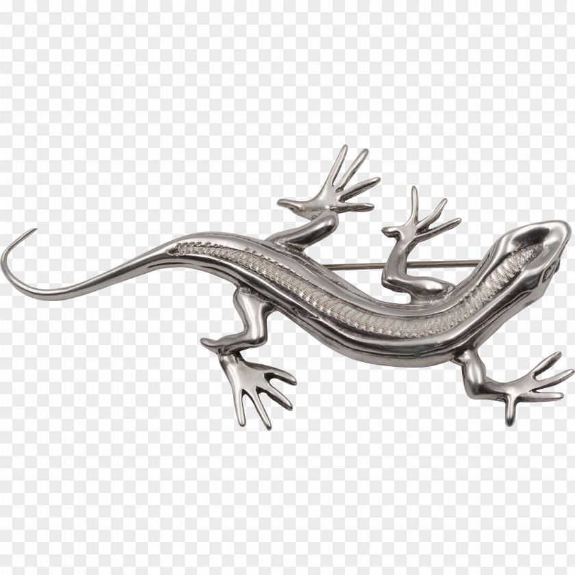 Lizard Reptile Vertebrate Animal PNG