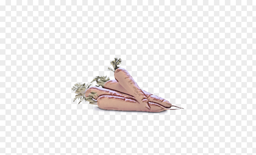 Fashion Accessory Sandal Feather PNG
