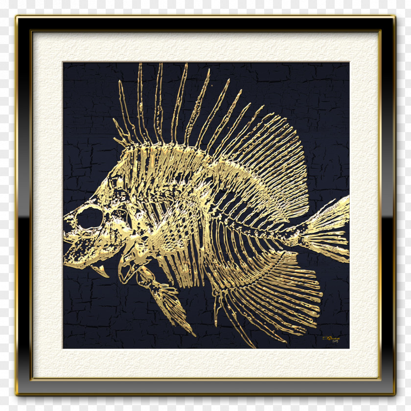 Fish Skeleton Picture Frames Printmaking Organism PNG