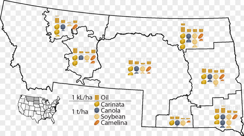 Line Point Map Recreation PNG