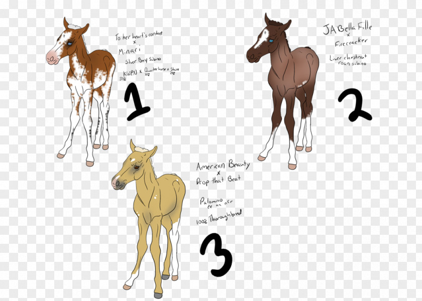 Mustang Foal Colt Donkey Deer PNG