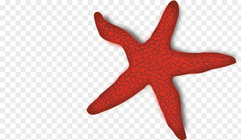 Starfish And Coral Clip Art Image Openclipart Vector Graphics Drawing PNG