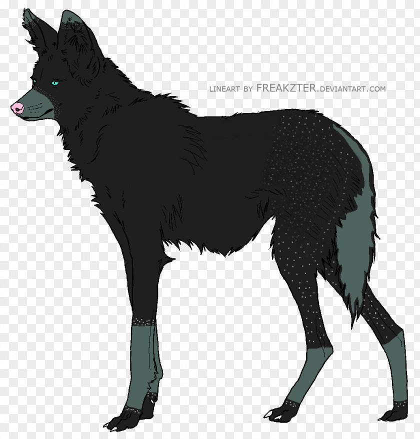 Wolf Schipperke Pack Animal Dog Breed Character Fur PNG