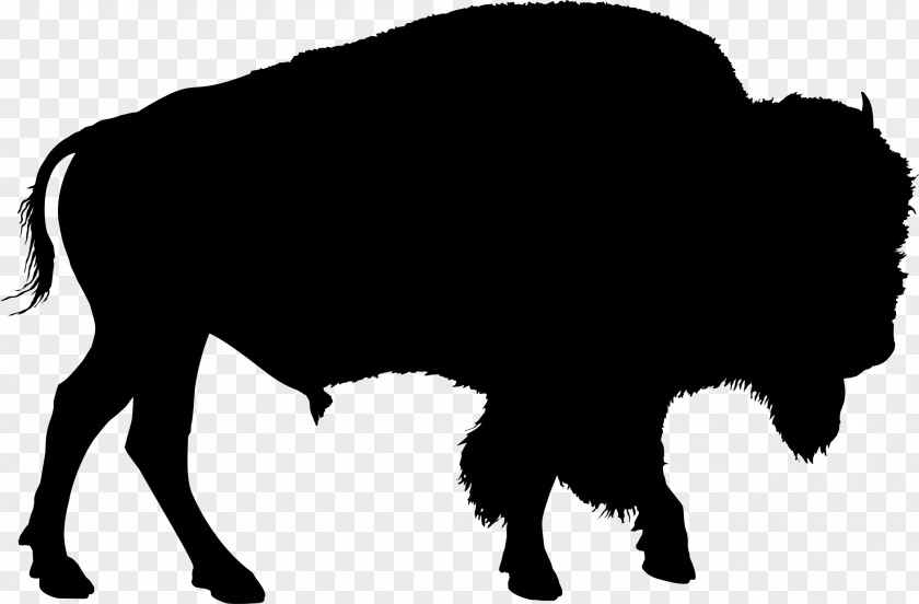 Bison American Drawing Clip Art PNG