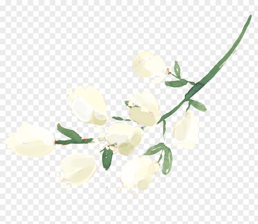 Boabab Petal Twig Flowering Plant Stem PNG