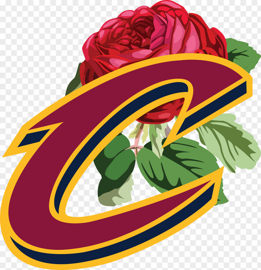 Cleveland Cavaliers 2016 NBA Finals Detroit Pistons Miami Heat PNG