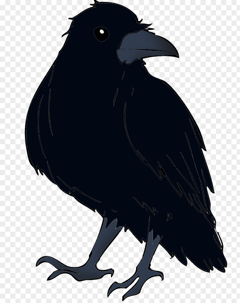 Crow American New Caledonian Rook Common Raven PNG