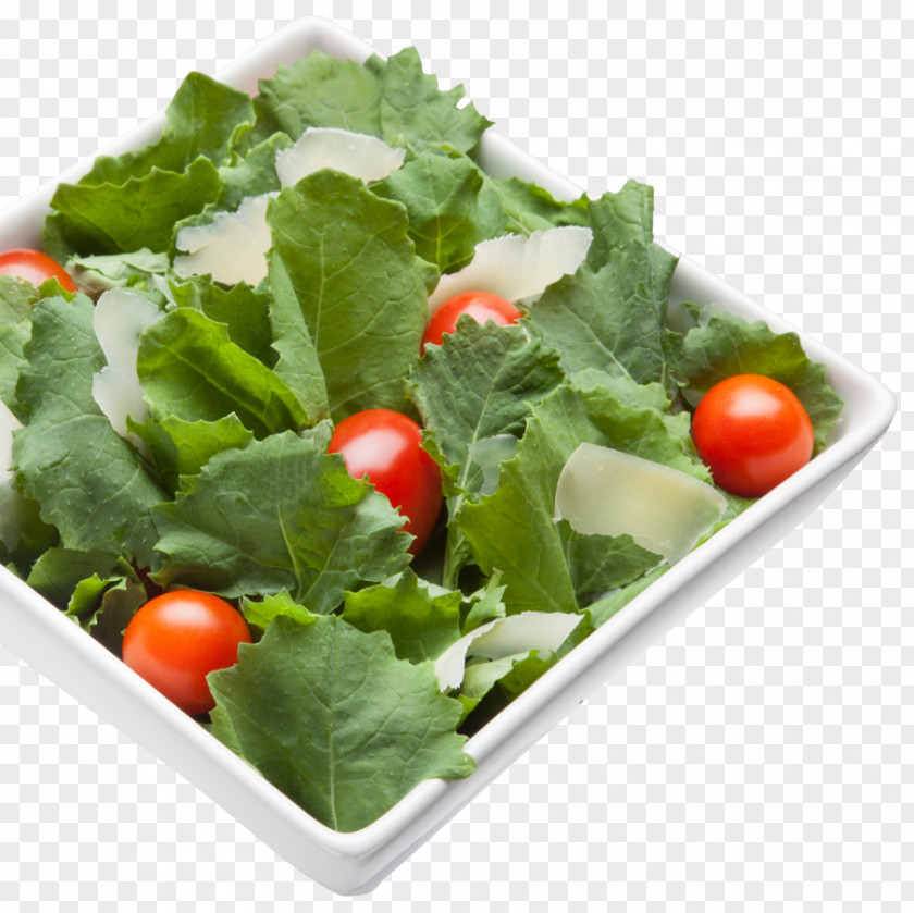 Salad Vinaigrette Antipasto Leaf Vegetable Food PNG