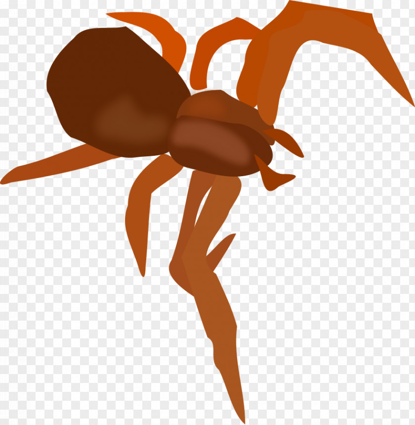 Spider Clip Art PNG