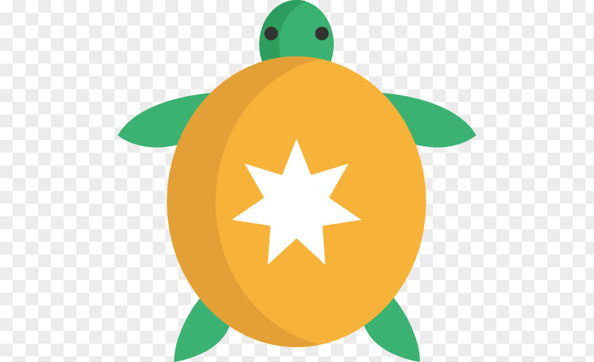 Turtle Icon Flag Of Australia National New Zealand PNG