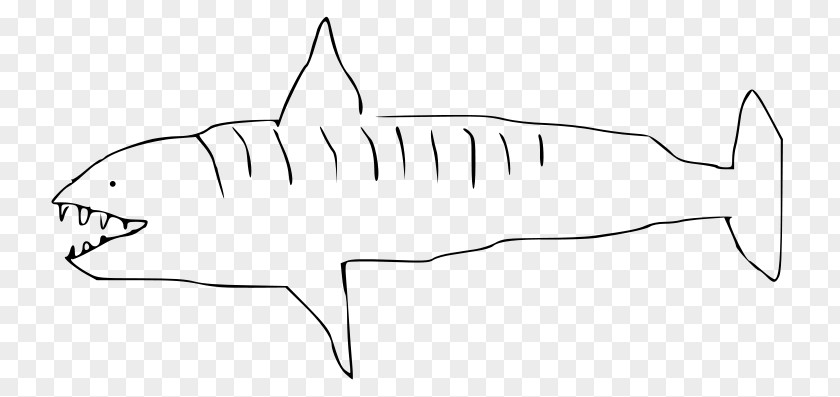 Tiger Shark Wikimedia Commons Foundation Drawing Clip Art PNG