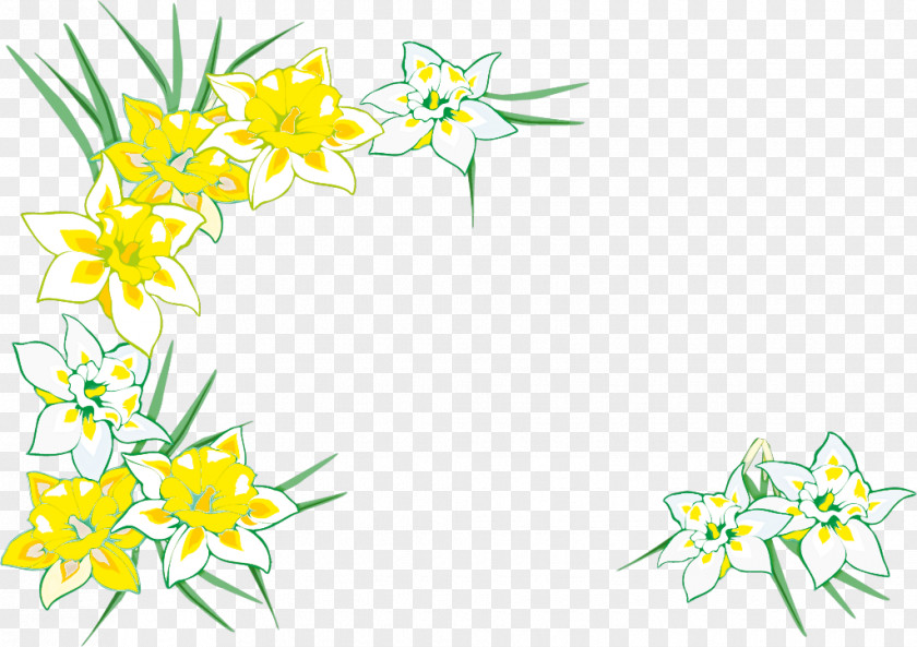 Floral Design PNG