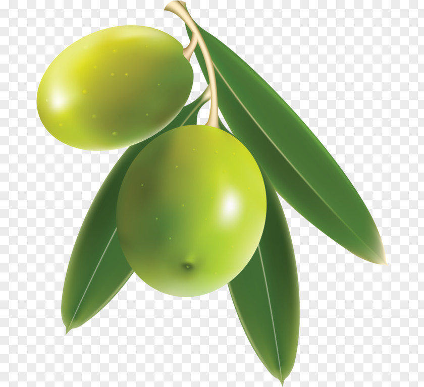 Green Olives Olive Oil Food PNG