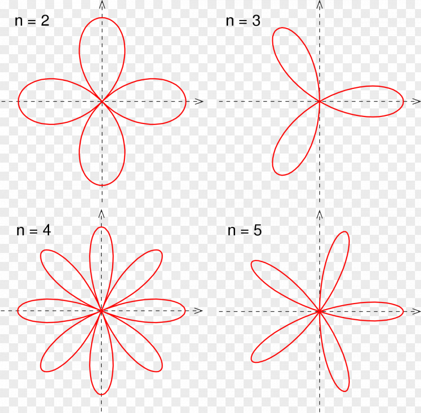 Line Petal Point Angle PNG