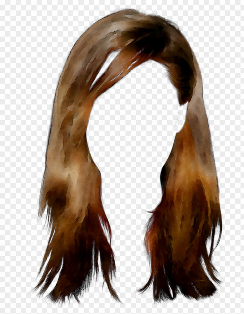 Long Hair Fur Brown Wig PNG