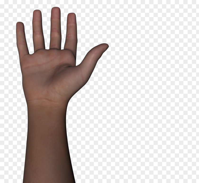 Arm And Hand Thumb Human Body PNG