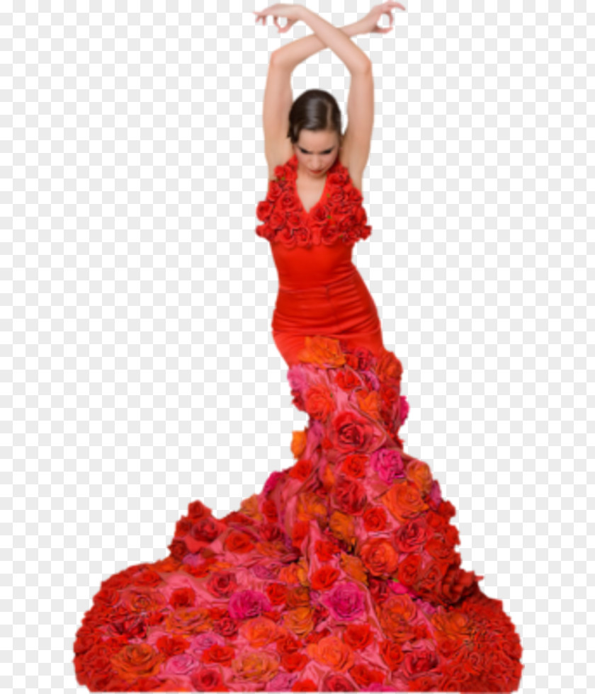 Dress Flamenco Traje De Flamenca Dance Costume PNG