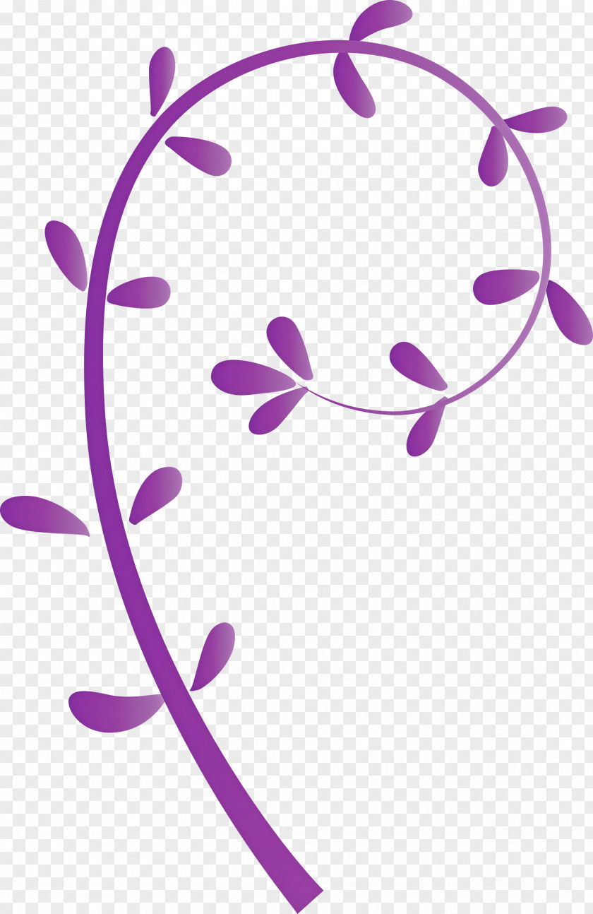 Flower Frame Floral PNG