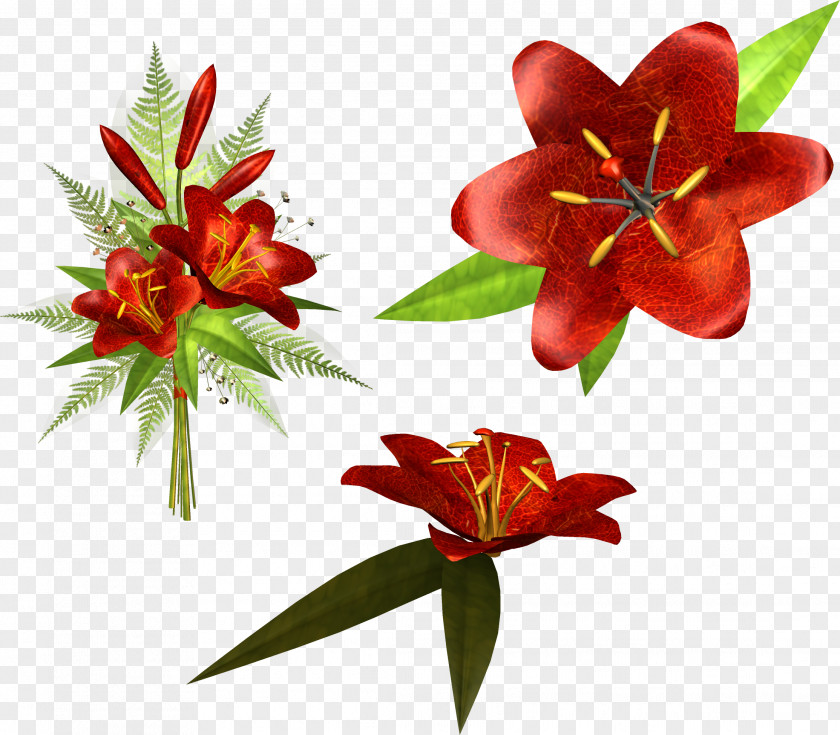 Flower Lilium Clip Art PNG