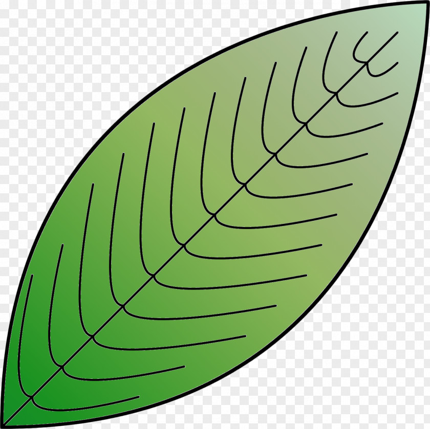 Leaf Green Tree Font PNG