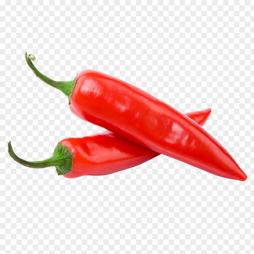 Red Pepper Chili Serrano Bell Habanero Salsa PNG
