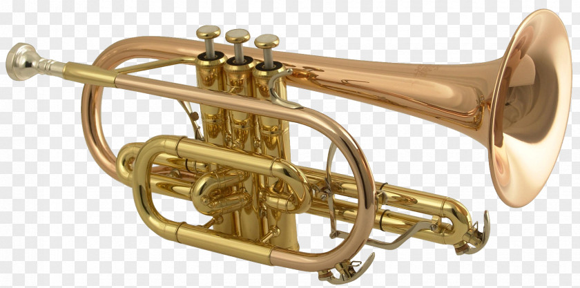 Trumpet Cornet Brass Instrument Musical Bore PNG