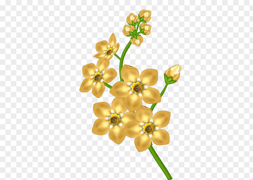 Yellow Flower Transparent Clipart Clip Art PNG
