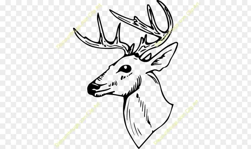 Deer Clip Art Coloring Book White-tailed PNG