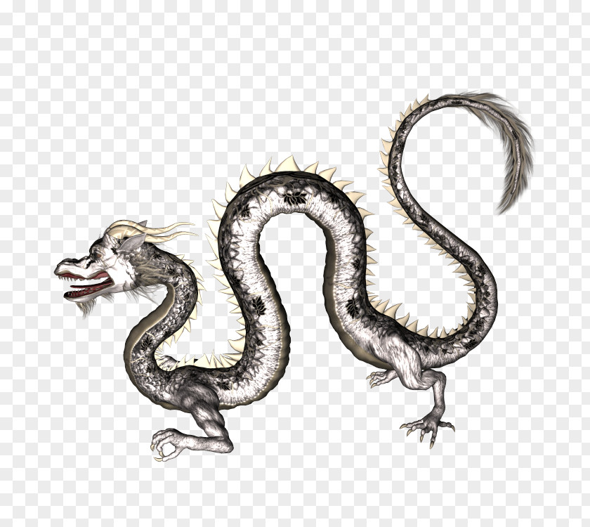 Dragon Chinese Serpent PNG