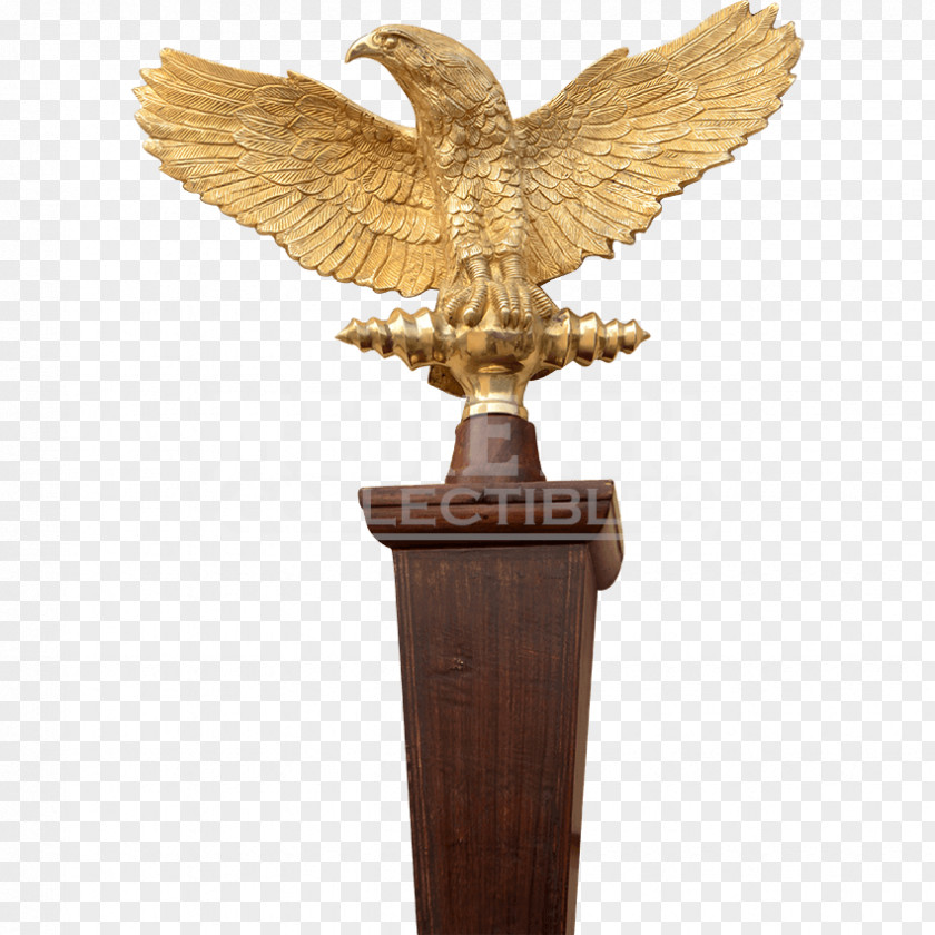 Eagle Ancient Rome Aquila Legionary Roman Legion Army PNG