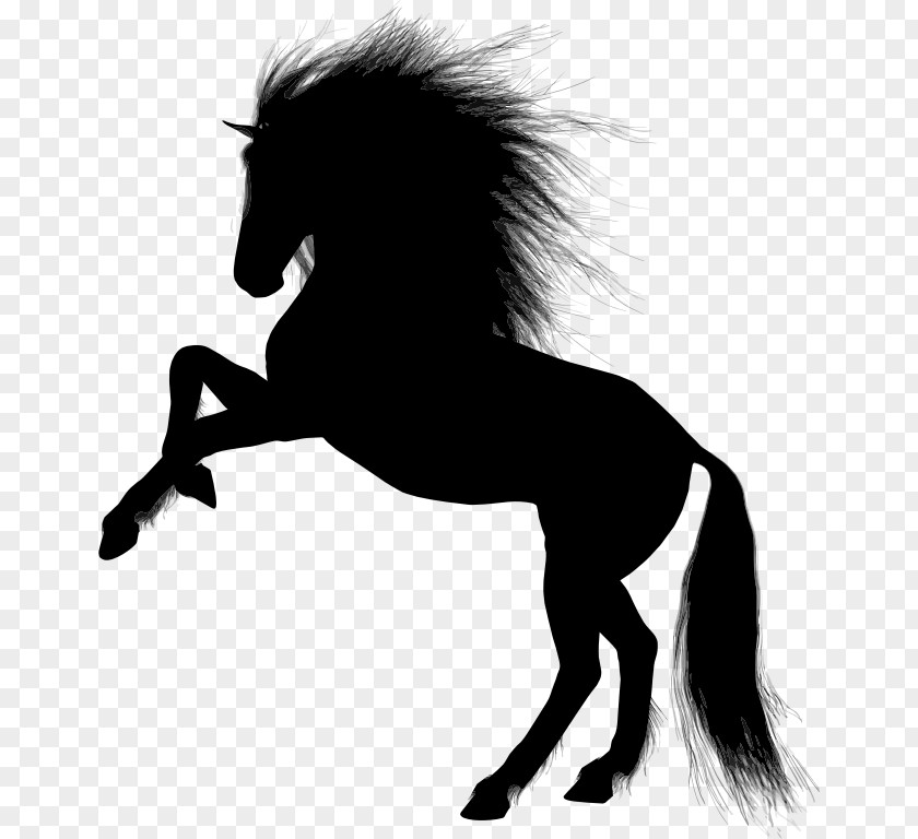 Mustang Pony Clip Art PNG