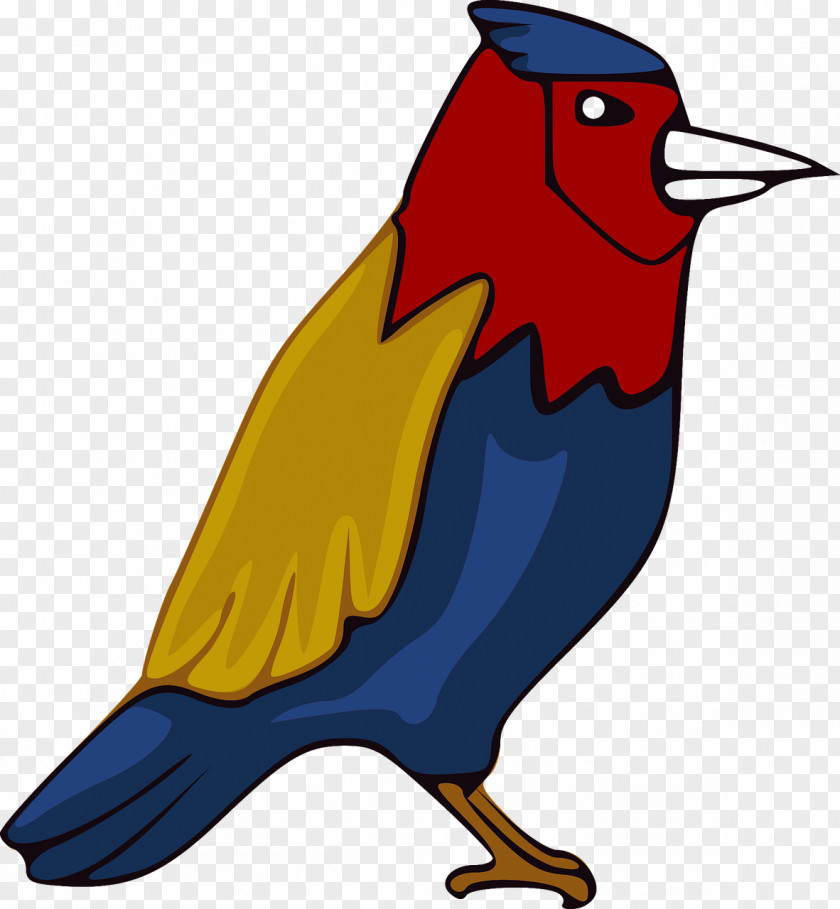 Parrot Bird Animal Beak Clip Art PNG