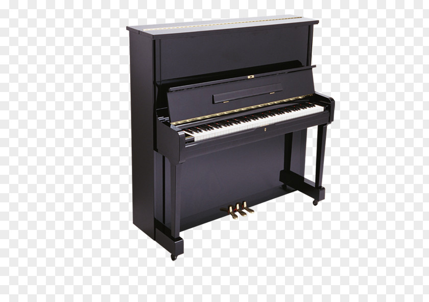 Piano Grand Definition Musical Instrument Keyboard PNG