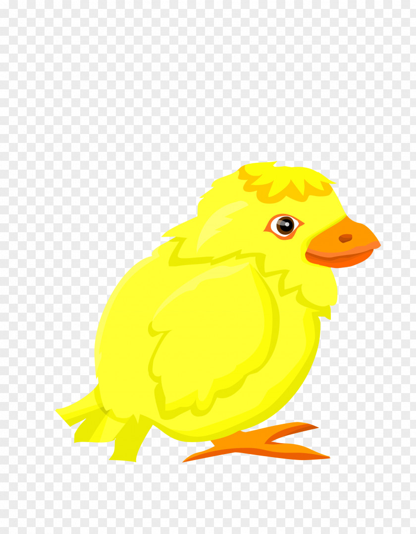 Vector Yellow Side Face Bubble Chick Duck Chicken Clip Art PNG
