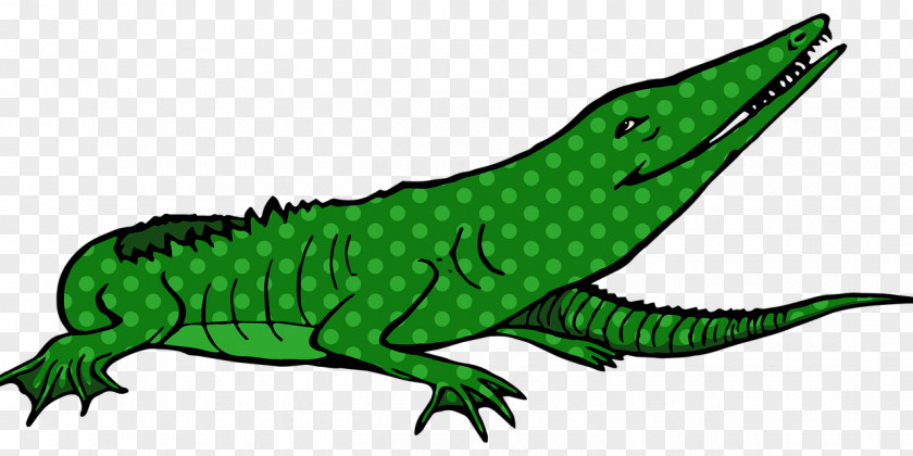 Crocodile Common Iguanas Clip Art Cartoon Drawing PNG