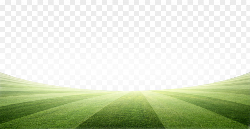 Shade Football Field Lawn Meadow Green Energy Wallpaper PNG