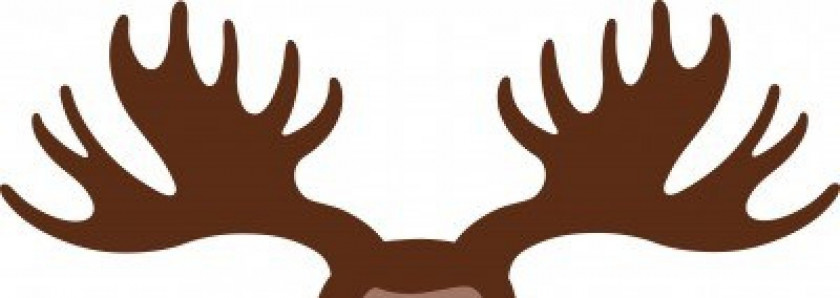 Antler Cliparts Moose Deer Elk Clip Art PNG