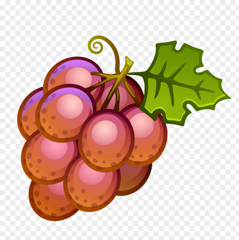 Grape Common Vine Wine Clip Art PNG