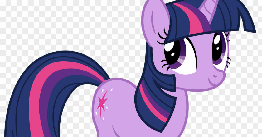 Horse Twilight Sparkle Pony Rainbow Dash Pinkie Pie Rarity PNG