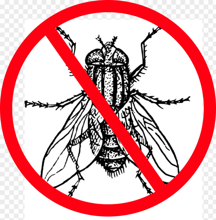 No. 1 Insect Housefly Drawing Clip Art PNG