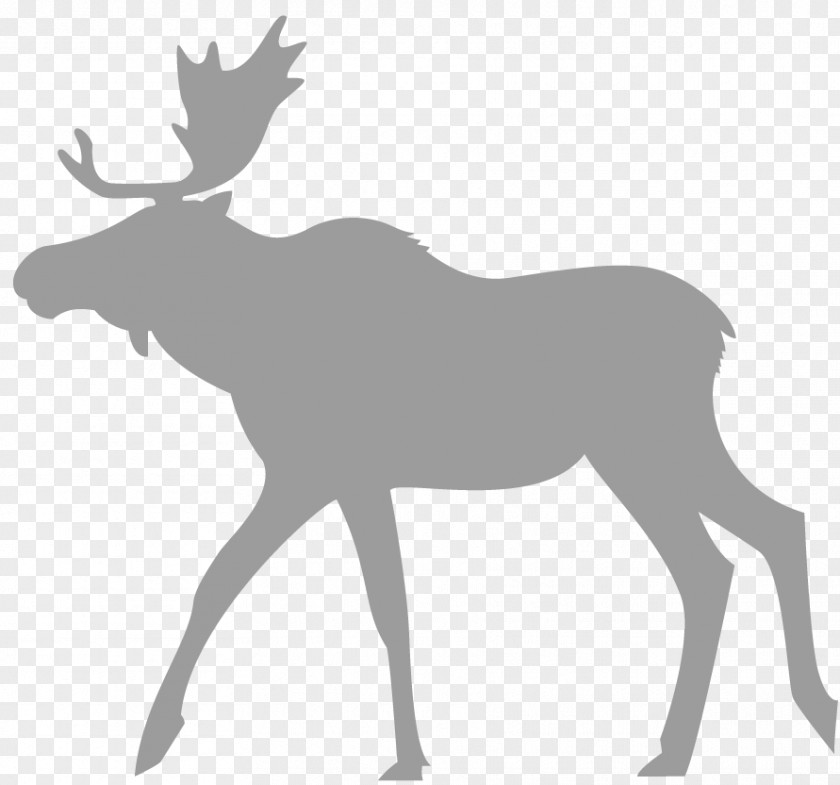 Reindeer Moose Eftersökshund Hunting Dog PNG